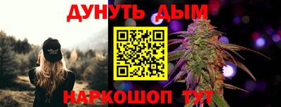 сатива Бердск