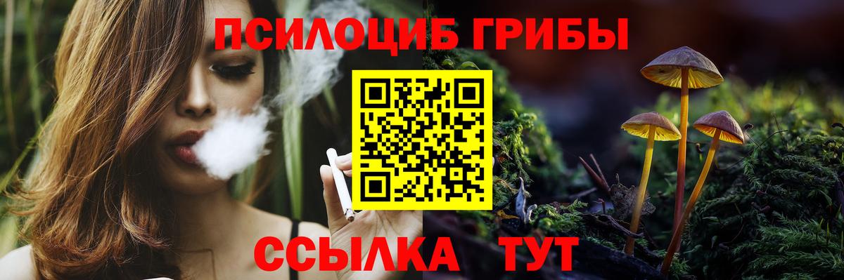 Псилоцибиновые грибы Psilocybe  Псилоцибиновые грибы ЛСД  купить наркотики сайты  Асино  Вход с VPN 